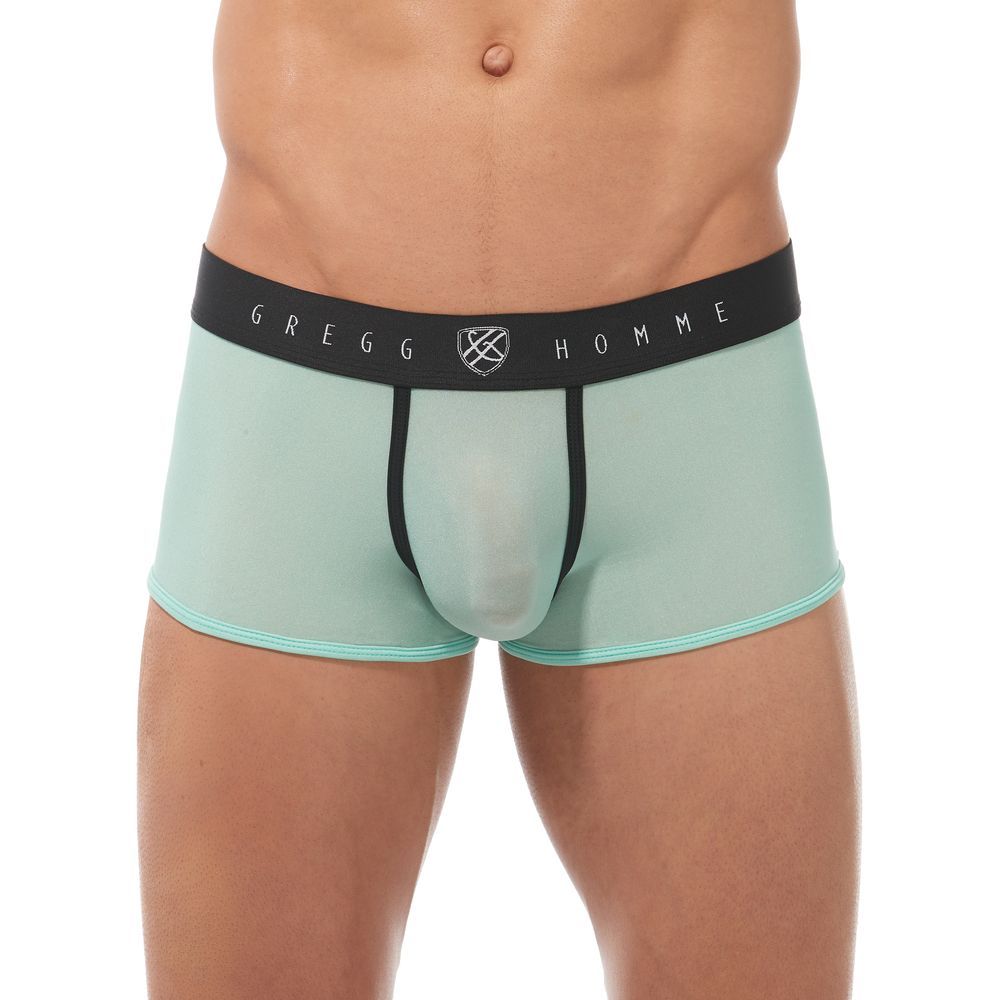 Gregg Homme Torridz Boxer Brief (Mint)
