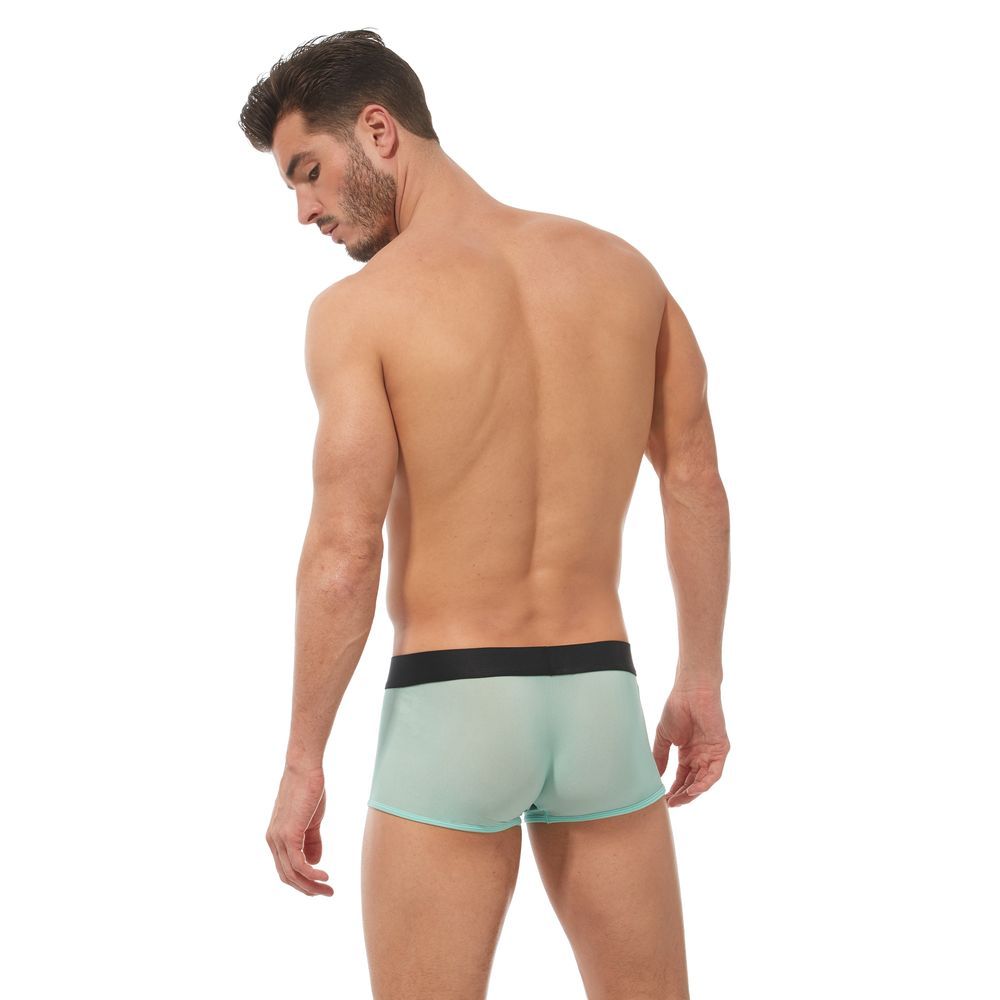 Gregg Homme Torridz Boxer Brief (Mint)