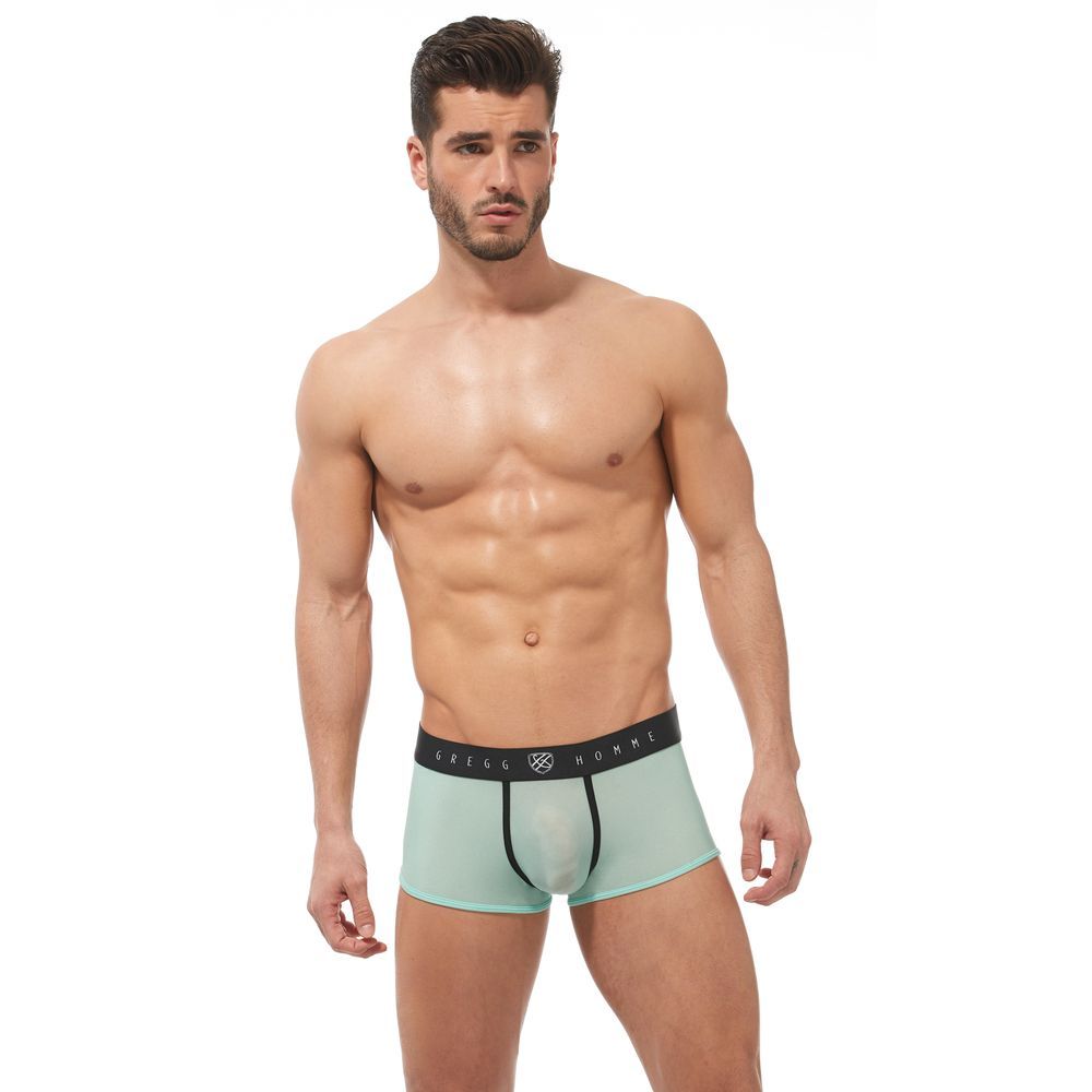 Gregg Homme Torridz Boxer Brief (Mint)