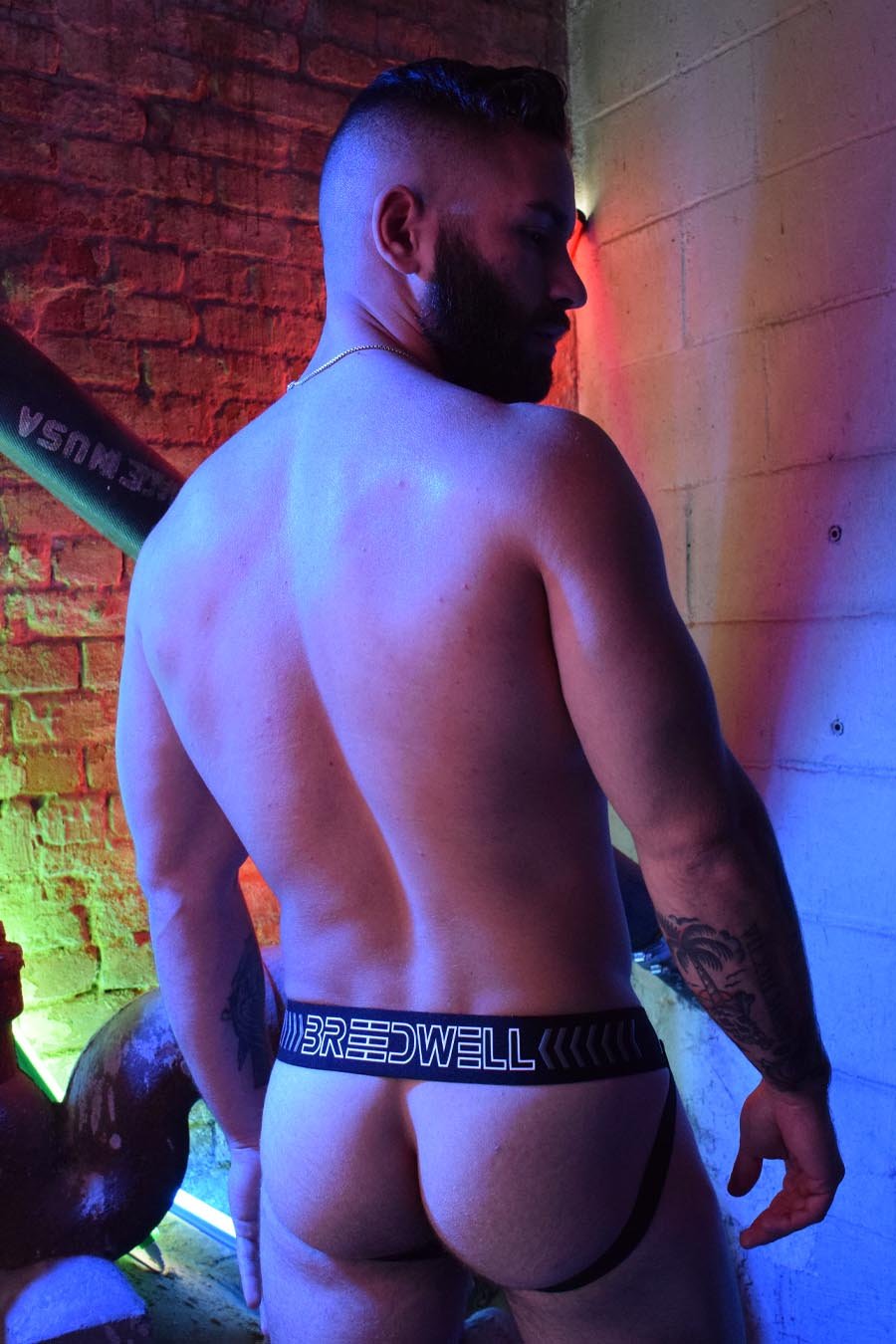 Breedwell Breedcore Jocks (Black)